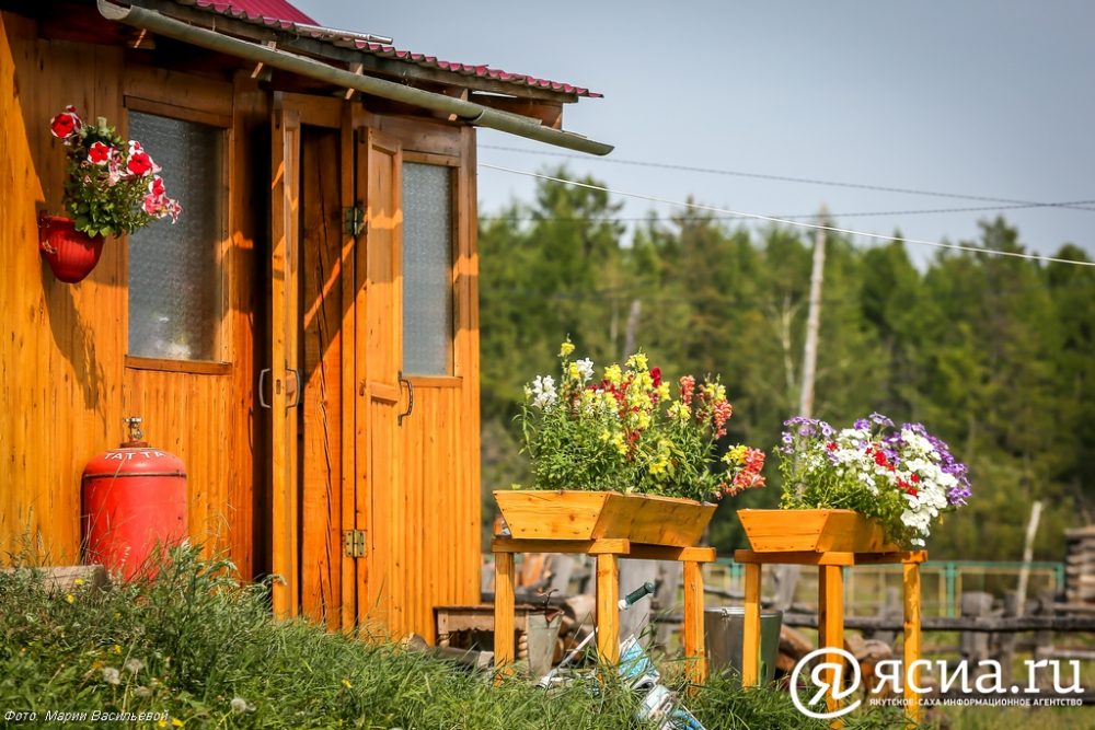 На Дальнем Востоке спрос на озеленение и подготовку почвы вырос в 3,3 раза
